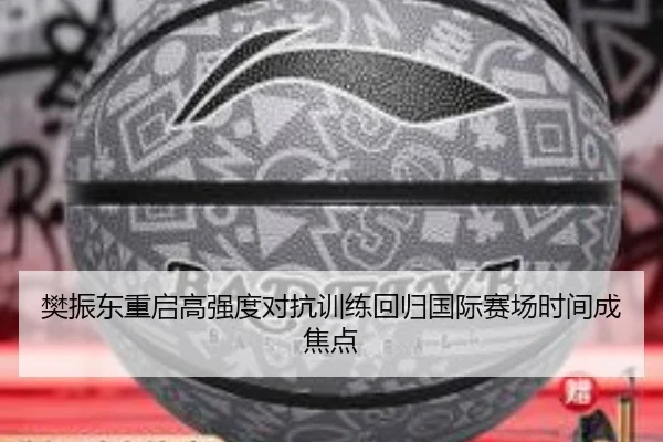 樊振东重启高强度对抗训练回归国际赛场时间成焦点